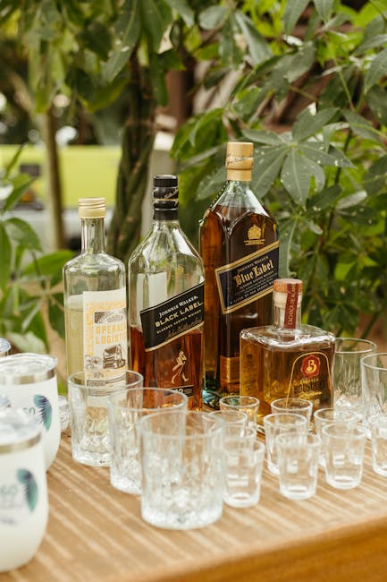 Luxurious venue setup for a premium casino entertainment experience